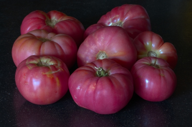 home-grown-tomatoes-1321084